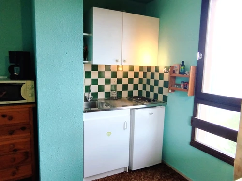 Apartment Les Adrets-Prapoutel, studio flat, 4 persons - photo_1011344585062