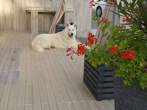 Gîte Brem, 5 pièces, 8 personnes - photo_15062071341