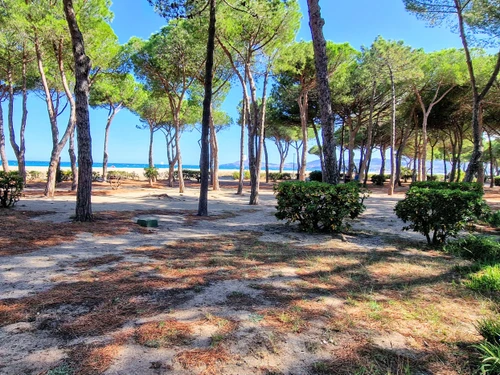 Apartamento Argelès-sur-Mer, 1 dormitorio, 4 personas - photo_1011592358401