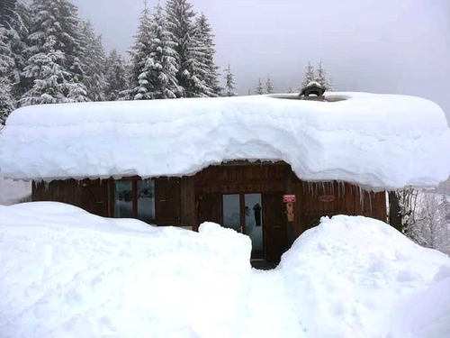 Chalet Arêches-Beaufort, 5 pièces, 14 personnes - photo_16408598458