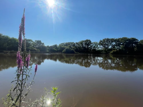 Gîte Gournay, 2 pièces, 2 personnes - photo_1011662384110
