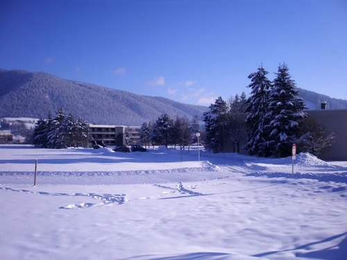 Studio Autrans-Méaudre en Vercors-Autrans, 1 pièce, 4 personnes - photo_19559526662