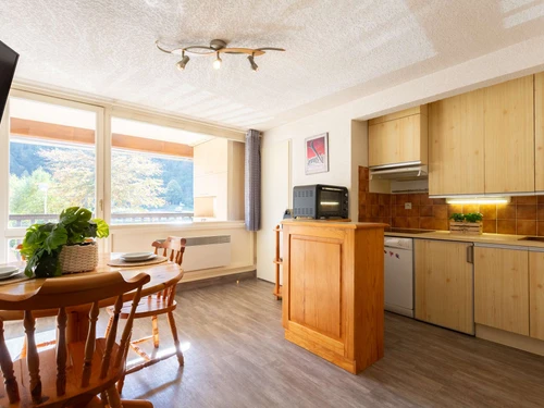 Apartment Saint-Lary-Soulan, 2 bedrooms, 4 persons - photo_1011665338804