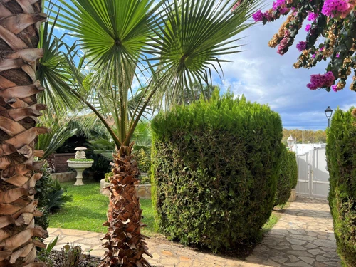 Maison Sant Pere Pescador, 4 pièces, 6 personnes - photo_18371006417