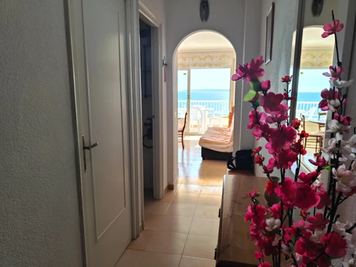 Appartement Roses, 2 pièces, 4 personnes - photo_19317827482