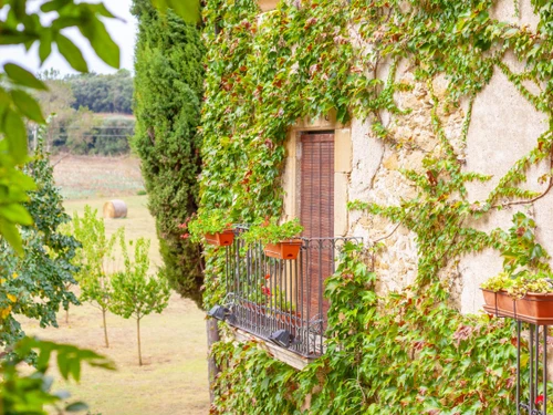 Maison Corçà, 8 pièces, 18 personnes - photo_18949175160