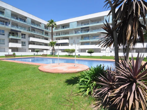 Appartement Roses, 2 pièces, 4 personnes - photo_1011272311879