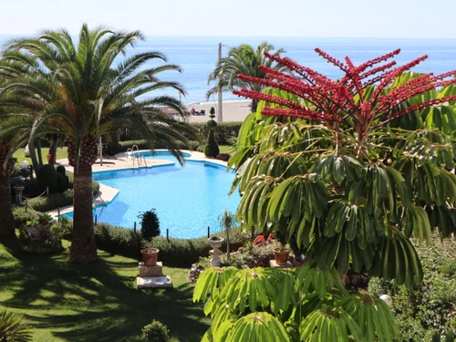 Apartment Nerja, 1 bedroom, 2 persons - photo_19081734392