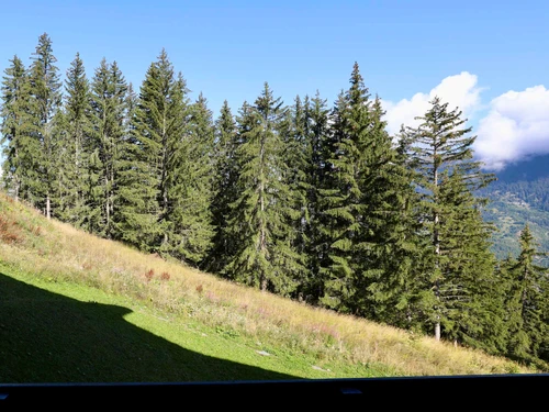 Apartment Courchevel 1550, 1 bedroom, 4 persons - photo_16296778335