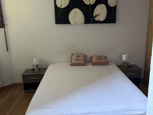 Apartamento Châtel, 2 dormitorios, 6 personas - photo_20142679173