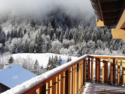 Apartment Châtel, 3 bedrooms, 6 persons - photo_14478698503