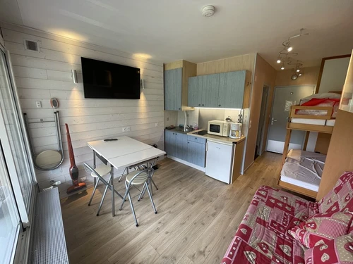 Studio Le Lioran, 1 pièce, 4 personnes - photo_1011673952447