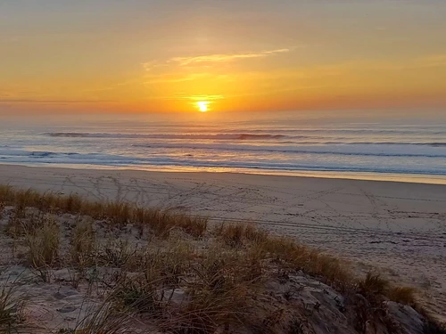 Villa Lège-Cap-Ferret, 5 pièces, 10 personnes - photo_19386124178