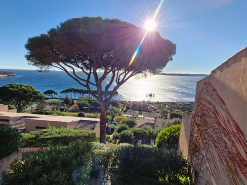 Apartment Sainte-Maxime, 3 bedrooms, 6 persons - photo_1011406097523