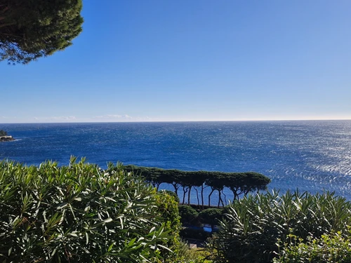 Appartement Sainte-Maxime, 2 pièces, 4 personnes - photo_1011406102367