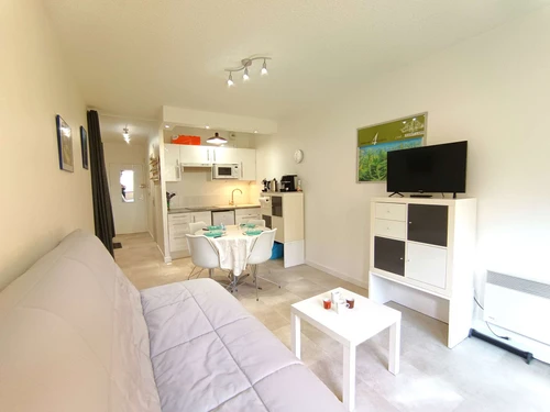 Studio Saint-Lary-Soulan, studio flat, 4 persons - photo_1011674713968