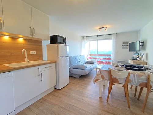 Studio Saint-Lary-Soulan, studio flat, 4 persons - photo_1011677328611