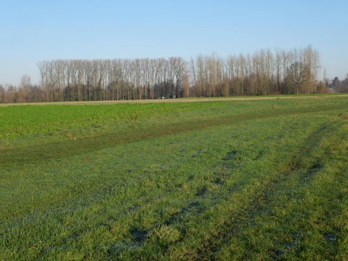 Studio Flines-lès-Mortagne, 1 pièce, 2 personnes - photo_17080460042