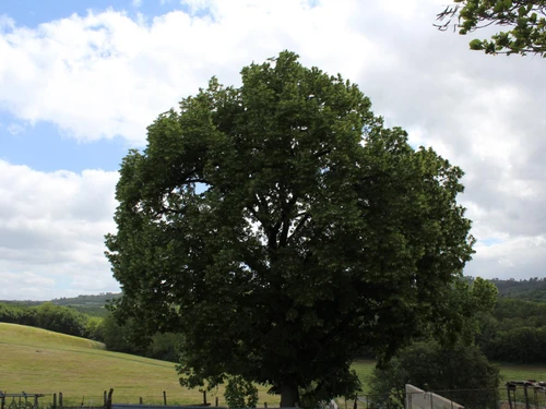 Gite Marcillac-Saint-Quentin, 2 bedrooms, 6 persons - photo_1011680420237