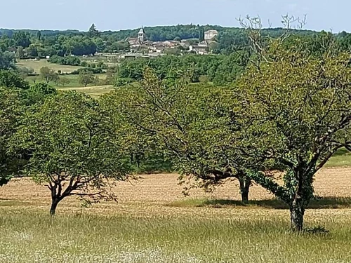 Gite Sorges-et-Ligueux-en-Périgord, 3 bedrooms, 6 persons - photo_1011680425125