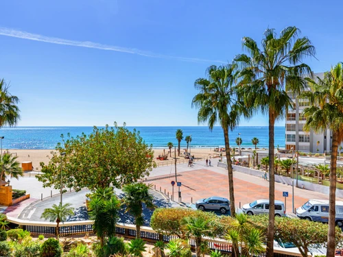 Ferienwohnung Calp, 1 Schlafzimmer, 4 Personen - photo_19123054026