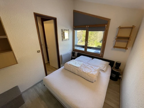 Apartment Le Lioran, 1 bedroom, 5 persons - photo_1011660687980