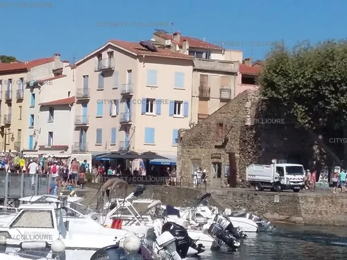 Appartement Collioure, 2 pièces, 2 personnes - photo_1011683990914