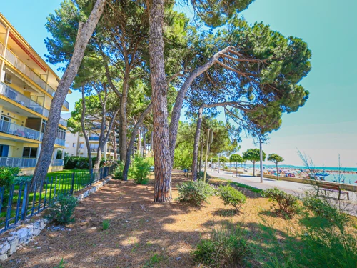 Apartment Cambrils, 1 bedroom, 4 persons - photo_20138837088