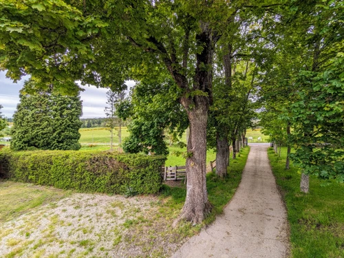 Guestroom Saint-Romain-Lachalm, 1 pièce, 4 personnes - photo_1011663121327