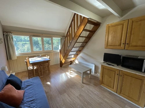 Apartment Le Lioran, 1 bedroom, 5 persons - photo_1011686019844