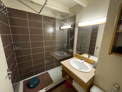 Apartment Le Lioran, 1 bedroom, 5 persons - photo_1011686019844