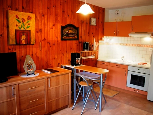 Ferienwohnung Besse-et-Saint-Anastaise-Super Besse, 1 Schlafzimmer, 6 Personen - photo_1011686746218