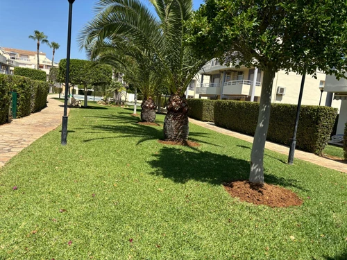 Ferienwohnung Denia, 2 Schlafzimmer, 4 Personen - photo_1011687595874