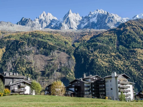 Studio Chamonix-Mont-Blanc, 1 pièce, 4 personnes - photo_18110846332