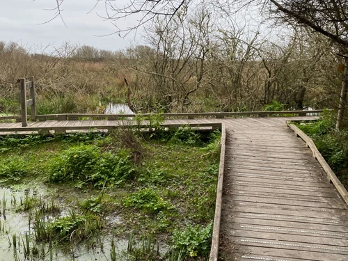 Maison Sarzeau, 3 pièces, 6 personnes - photo_1011683628457