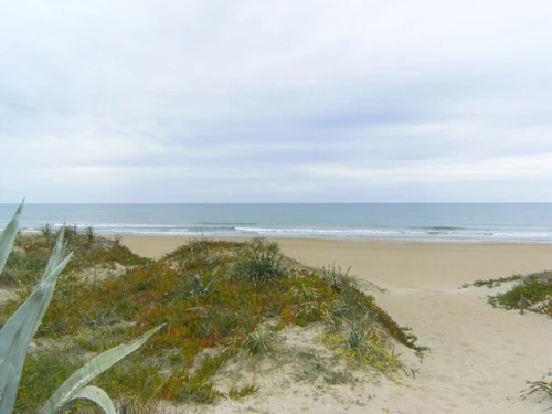 Ferienhaus Denia, 4 Schlafzimmer, 8 Personen - photo_19081747799