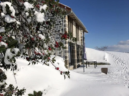 Gîte Carlat, 3 pièces, 5 personnes - photo_19655249779