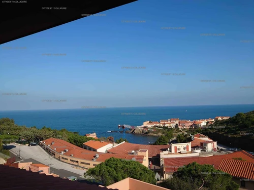 Appartement Collioure, 2 pièces, 4 personnes - photo_1011594893668