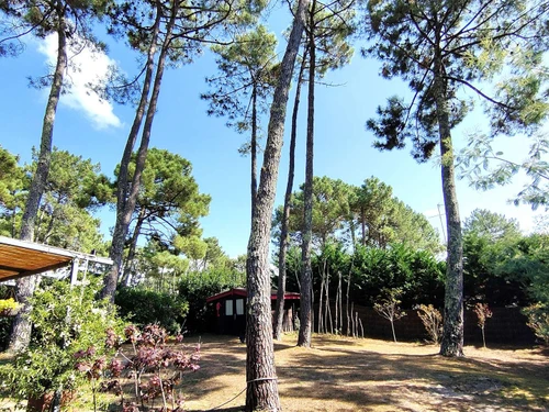 Villa Lège-Cap-Ferret, 3 bedrooms, 6 persons - photo_1011649510176