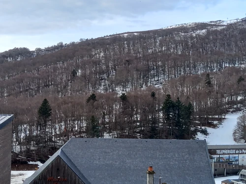 Apartment Besse-et-Saint-Anastaise-Super Besse, 1 bedroom, 6 persons - photo_1011689822063