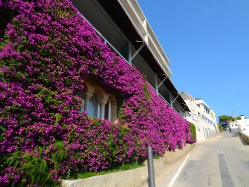 Apartment L'Estartit, 3 bedrooms, 8 persons - photo_18949613635