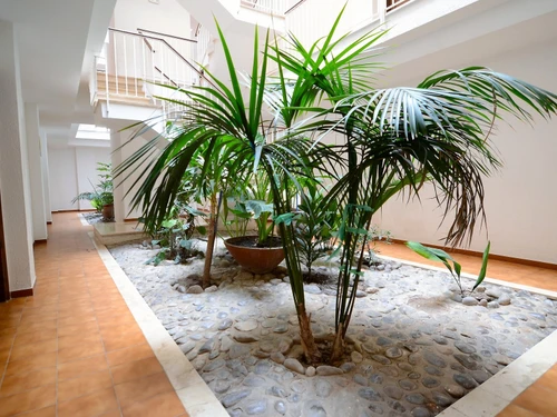 Apartment L'Estartit, 2 bedrooms, 6 persons - photo_18949579921