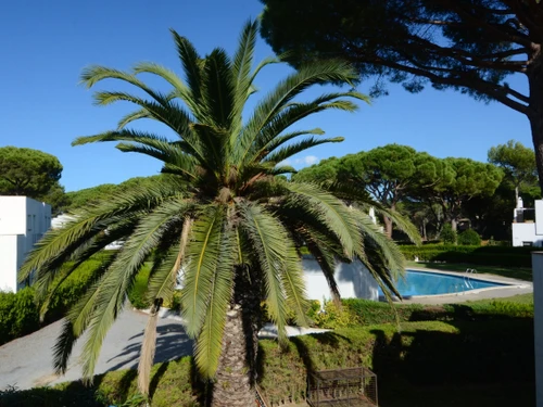 Maison Pals, 4 pièces, 6 personnes - photo_1011694793350