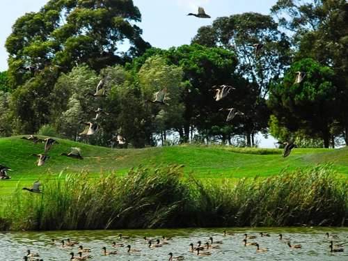 Apartment Gualta, 2 bedrooms, 4 persons - photo_1011694996103