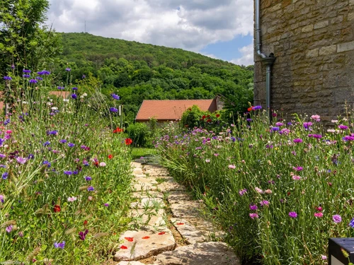Guestroom La Bussière-sur-Ouche, 1 pièce, 2 personnes - photo_1011695236337