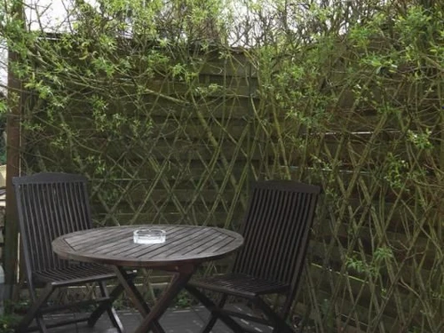 Guestroom Sacquenay, studio flat, 4 persons - photo_1011695249671