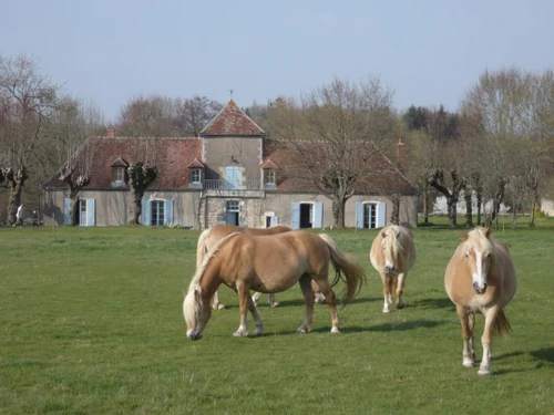 Guestroom Narcy, 1 pièce, 4 personnes - photo_1011695263892