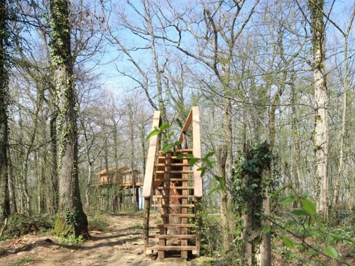 Gîte Balot, 2 pièces, 2 personnes - photo_1011695286038