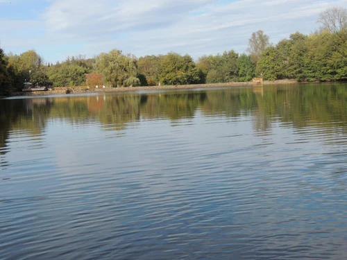 Gîte Saint-Didier, 4 pièces, 9 personnes - photo_1011695316448