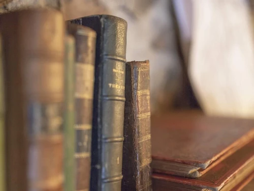 Gîte Saint-Martin-de-la-Mer, 1 pièce, 4 personnes - photo_1011695327908